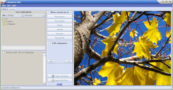sort your collection of pictures/images into categories